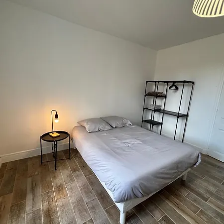 Appartement Cosy Avec Balcon Roanne Exterior photo