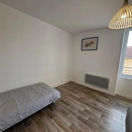 Appartement Cosy Avec Balcon Roanne Exterior photo